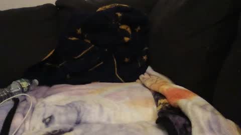     online show from 09/14/25, 02:22