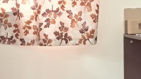 captian juicyprecum online show from 03/02/25, 07:54