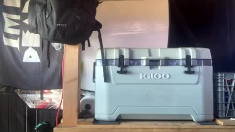 Snapshot of capwheels chatting on 09/17/25, 07:48 CAP online show from 09/17/25, 07:48