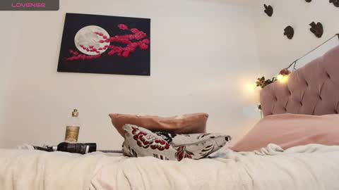 carolina online show from 12/19/24, 11:03