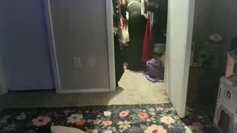 careerwife online show from 04/17/26, 02:36