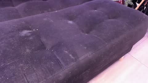 Carla online show from 12/22/24, 04:50