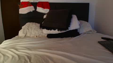 Snapshot of carlbadams96 chatting on 12/31/24, 11:17 sebasfit online show from 12/31/24, 11:17