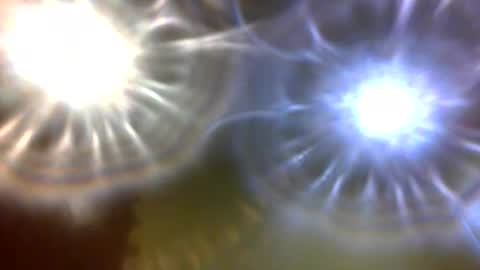 Snapshot of carlholmesjr20 chatting on 12/04/25, 11:02 carlholmesjr20 online show from 12/04/25, 11:02