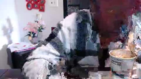 Carlie online show from 03/13/26, 02:45