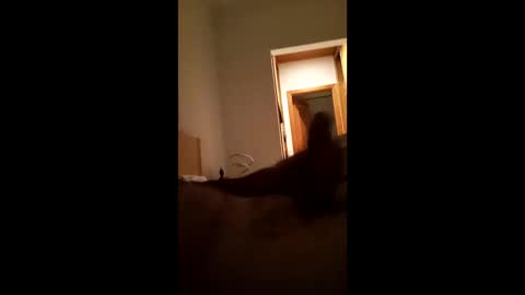 carlos1234500 online show from 01/16/26, 07:12