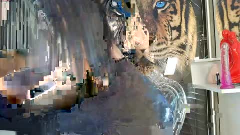 Carolay online show from 04/14/26, 03:45