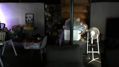 Carl online show from 12/30/24, 08:32