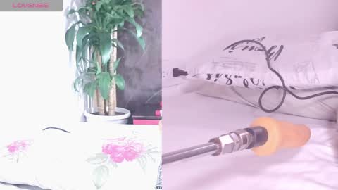 Carol online show from 04/17/26, 11:02