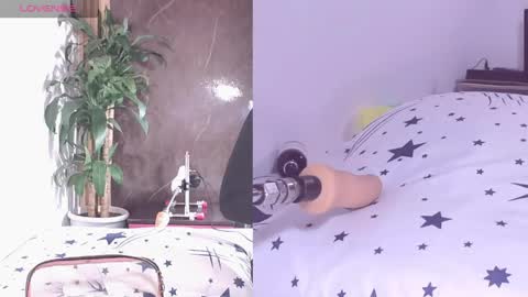 Carol online show from 04/21/26, 11:38