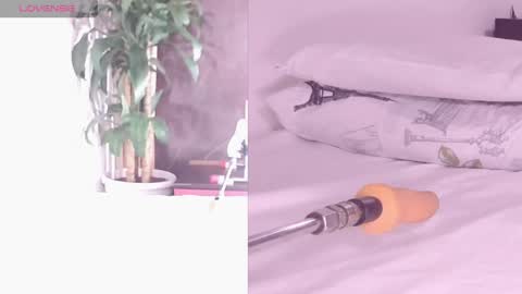 Carol online show from 04/26/26, 12:03