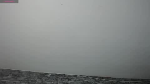 Camelia online show from 11/17/25, 11:32