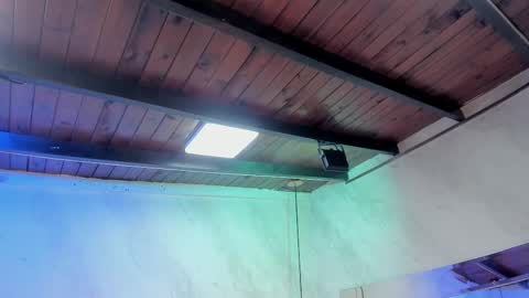 Carolina online show from 02/01/26, 03:27