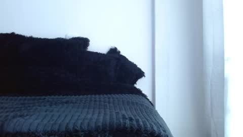 caroline online show from 04/01/26, 01:41