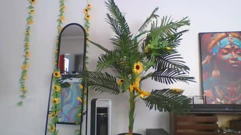 cashy_meal online show from 05/19/26, 07:26