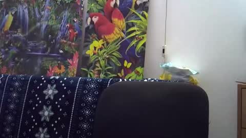 Cassandra online show from 12/05/25, 01:42