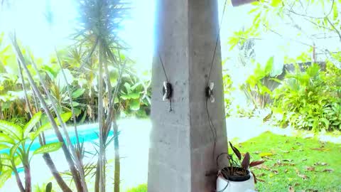 Hello my name is Cassie and my friend Nilo is also here online show from 02/18/26, 01:12