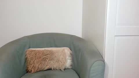 cassiecute - onlyfans account online show from 03/26/26, 08:47