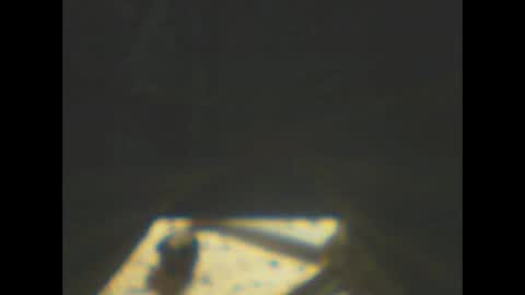 castells online show from 01/08/26, 05:59