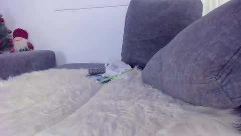 Cataleya online show from 12/26/24, 07:16