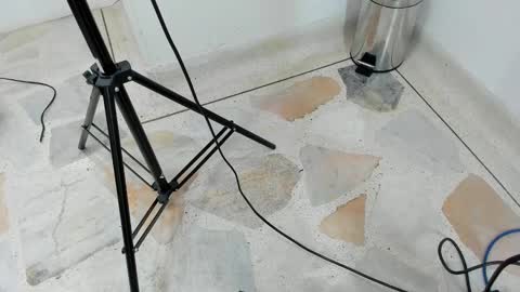 catalina ada online show from 03/11/25, 05:46