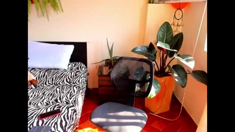 Cataina Lince online show from 12/09/24, 07:07