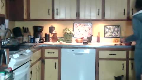 CATALYSTIC online show from 01/13/25, 09:41