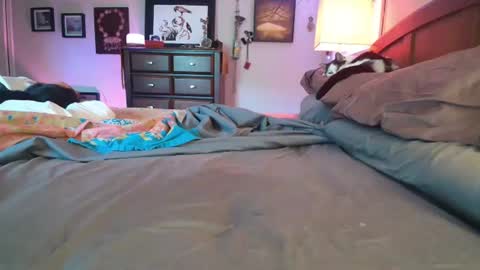some call me djcatnips some call me CC but i love it when you call me miss catnips  online show from 07/04/26, 05:19