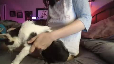 some call me djcatnips some call me CC but i love it when you call me miss catnips  online show from 07/10/26, 03:00