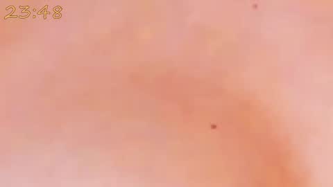    online show from 01/25/25, 06:24