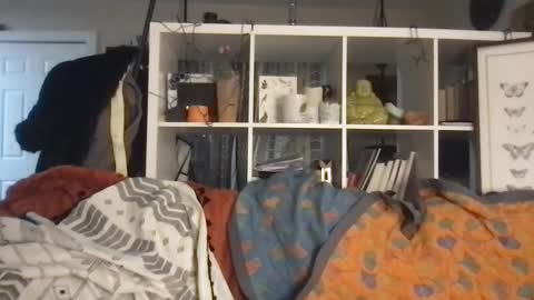 cattypants online show from 09/10/25, 10:48