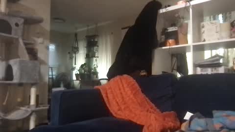 cattypants online show from 09/11/25, 02:11