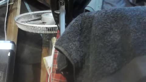 caughtnaked online show from 04/01/26, 02:25