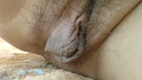 Snapshot of cbz112233 chatting on 09/08/25, 03:33 ANNYANNY online show from 09/08/25, 03:33