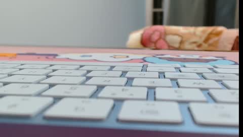 Snapshot of cbz112233 chatting on 02/16/26, 06:04 ANNYANNY online show from 02/16/26, 06:04