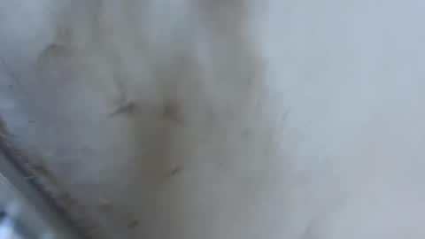 ccwwa01 online show from 05/08/26, 06:52