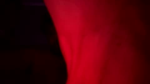 cdcro1986 online show from 06/03/26, 04:37