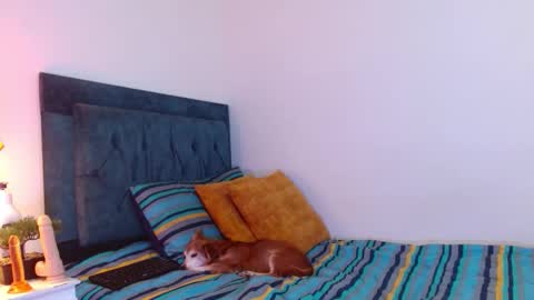 Cedrixx10 online show from 12/19/25, 09:55