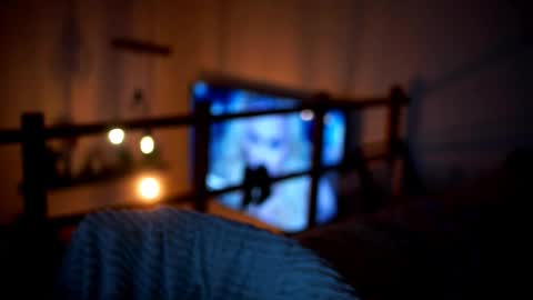 Snapshot of celeste_www chatting on 02/14/26, 05:10 Sunflower online show from 02/14/26, 05:10