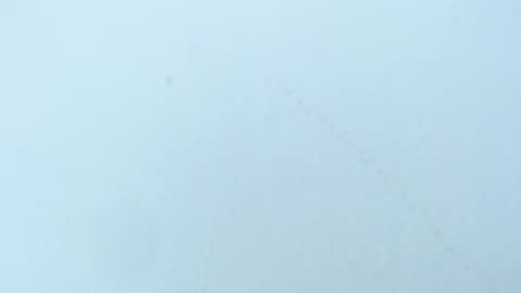 Snapshot of celiani_caleb chatting on 11/03/25, 03:08 celiani_caleb online show from 11/03/25, 03:08