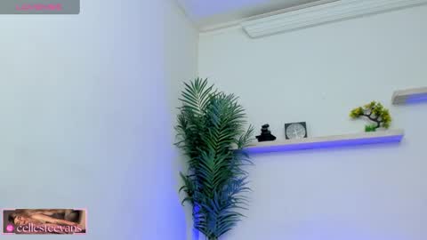 Celeste  online show from 02/11/25, 03:18