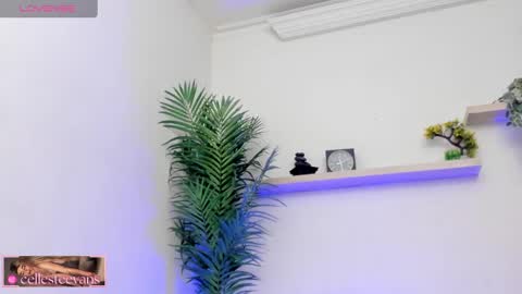 Celeste  online show from 03/12/25, 07:28