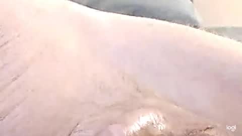 Snapshot of cfnmkinky28 chatting on 12/17/24, 09:07 cfnmkinky28 online show from 12/17/24, 09:07