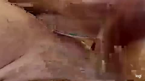 Snapshot of cfnmkinky28 chatting on 01/01/25, 04:07 cfnmkinky28 online show from 01/01/25, 04:07