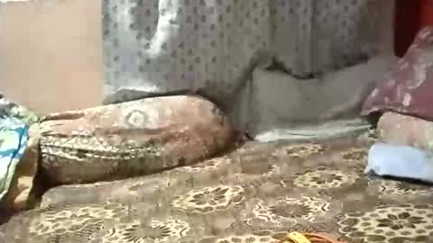 Stormydick online show from 01/12/26, 03:17