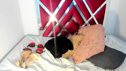 Snapshot of channellross chatting on 02/26/25, 01:43 Chanell online show from 02/26/25, 01:43