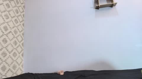 Snapshot of chantal_taylor_ chatting on 03/10/25, 03:09 Raquel online show from 03/10/25, 03:09