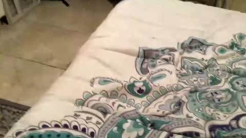 charliebroun online show from 02/18/25, 06:15