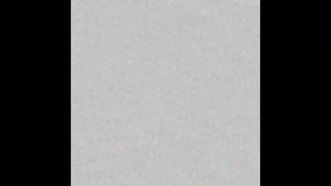 Charlotte online show from 02/13/25, 03:46