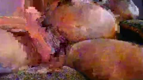 Snapshot of chas4911 chatting on 12/14/25, 06:52 chas4911 online show from 12/14/25, 06:52